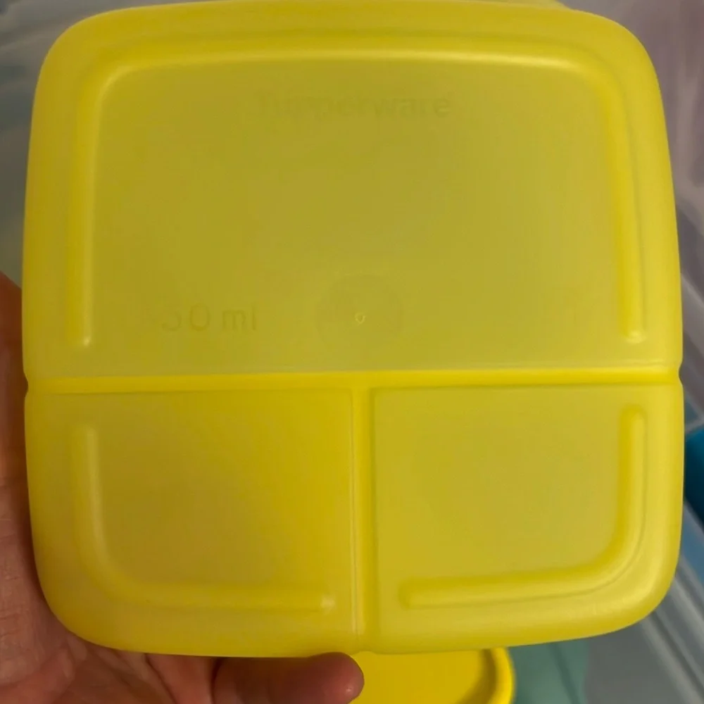 New from Tupperware Perfect lunchbox food storage container